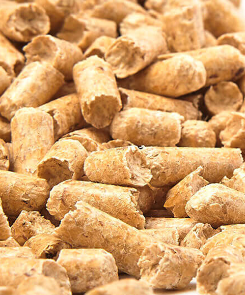 Wood biomass pelleting machine