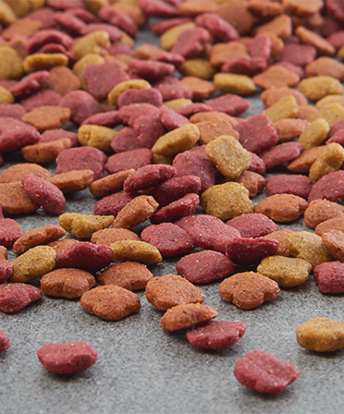 Poultry feed mill equipment