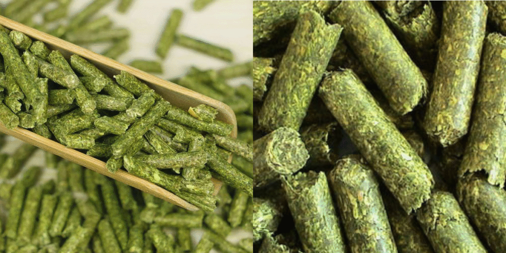 Alfalfa Pellets Mills Supplier in Nepal