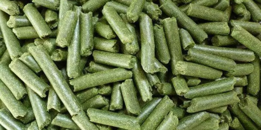 Alfalfa Pellets Mills Supplier in Philippines
